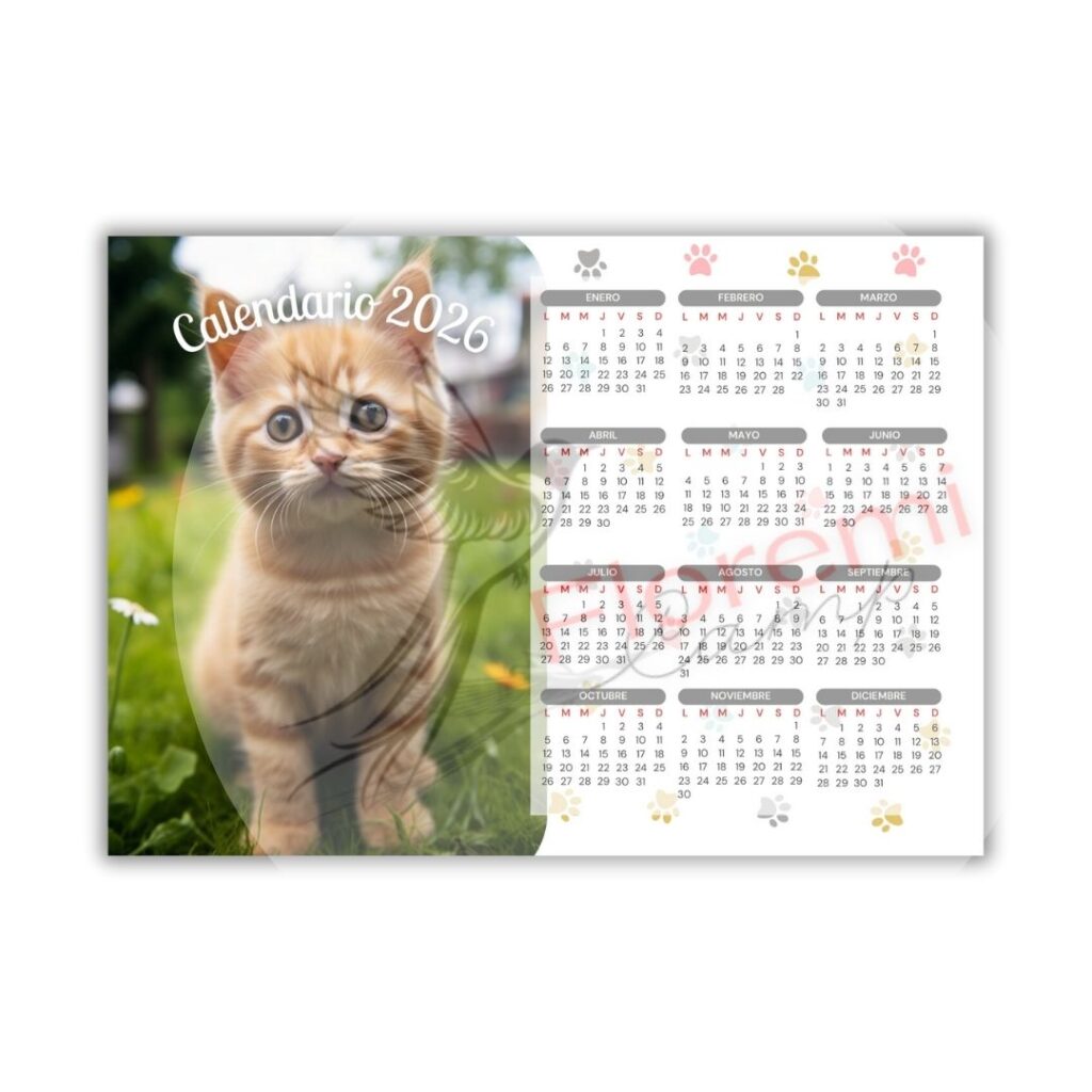 Calendario A4 Horizonrtal Gato26