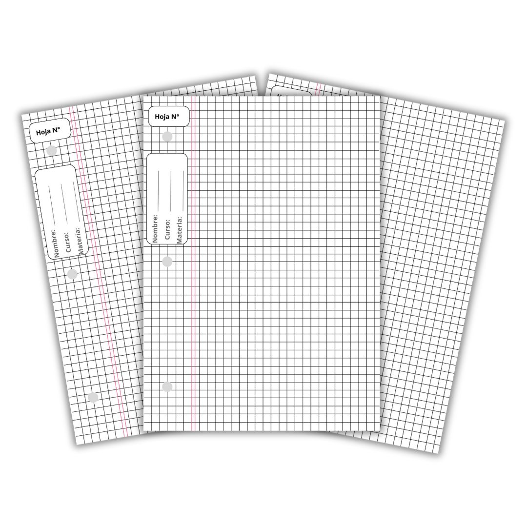 Hoja N°3 Cuadriculada PDF